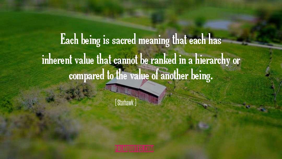 Inherent Value quotes by Starhawk