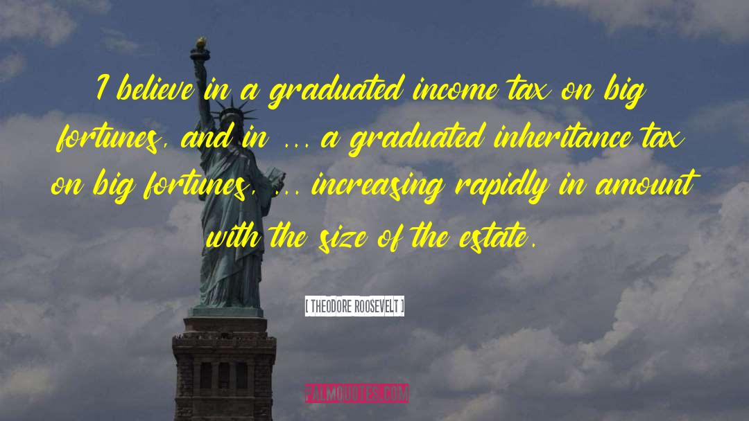 Inheritance Tax quotes by Theodore Roosevelt