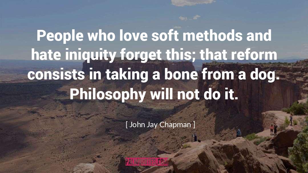 Iniquity quotes by John Jay Chapman