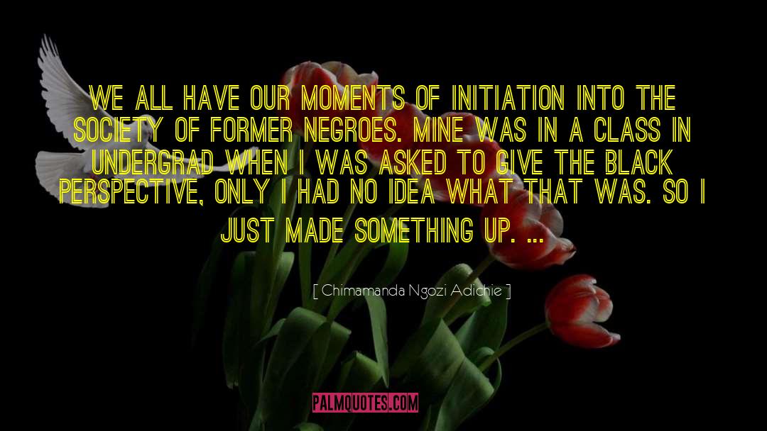 Initiation quotes by Chimamanda Ngozi Adichie