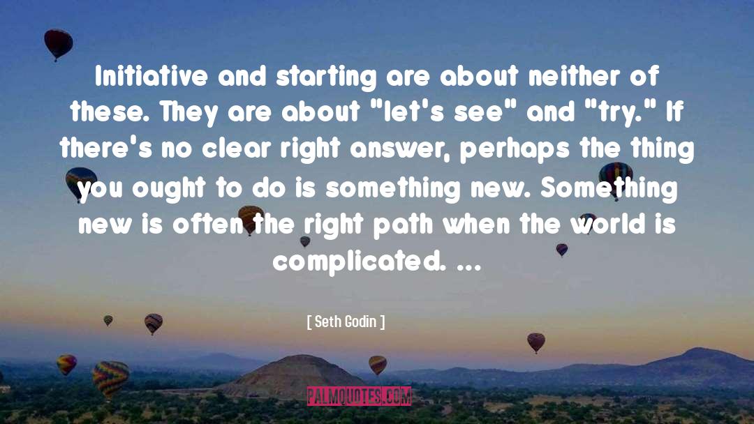 Initiative quotes by Seth Godin