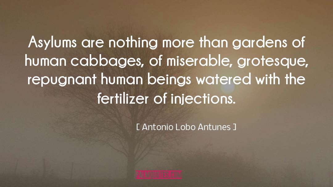 Injection quotes by Antonio Lobo Antunes
