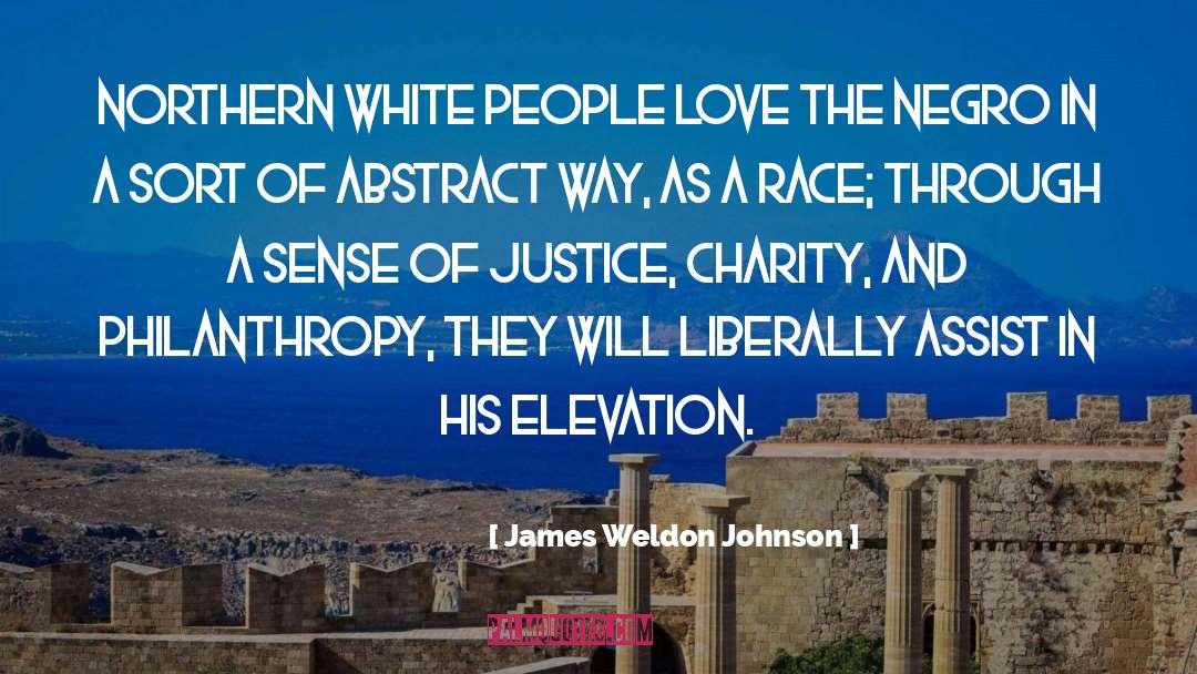 Injustice Philanthropy Justice quotes by James Weldon Johnson