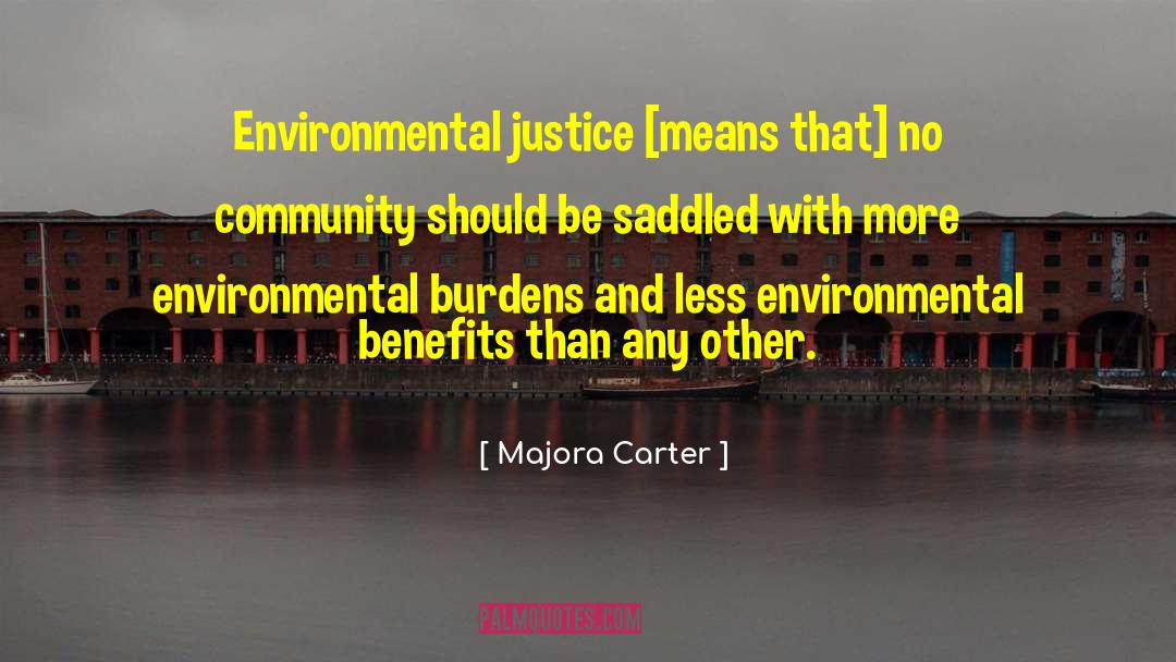 Injustice Philanthropy Justice quotes by Majora Carter