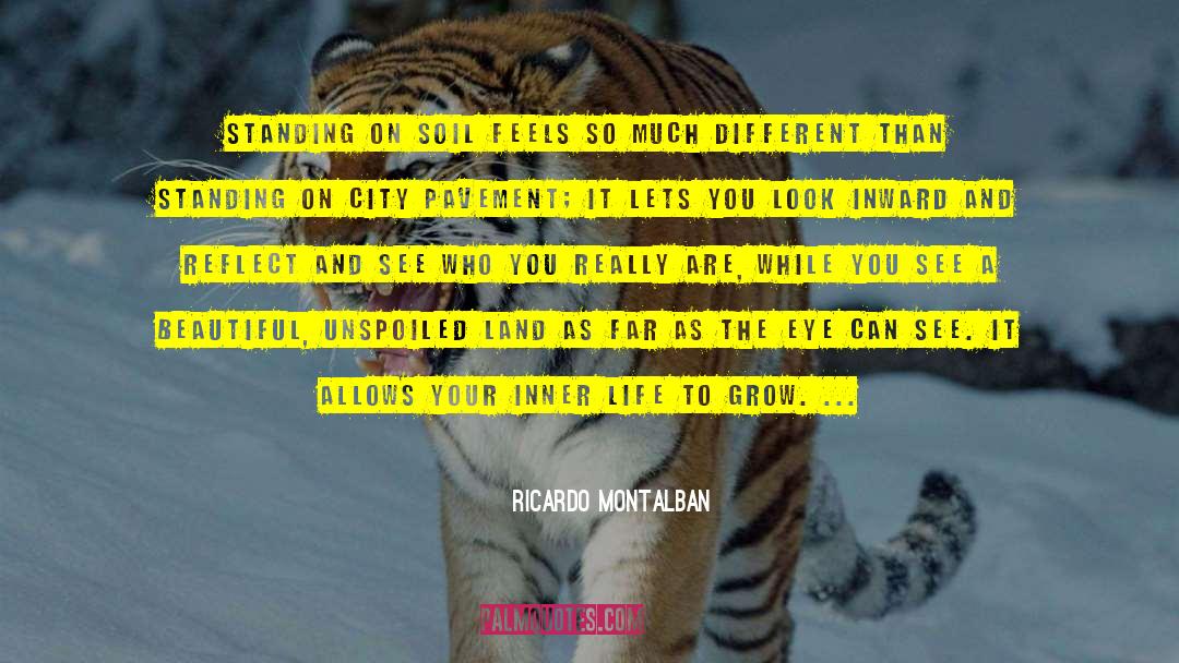 Inner Awakening quotes by Ricardo Montalban