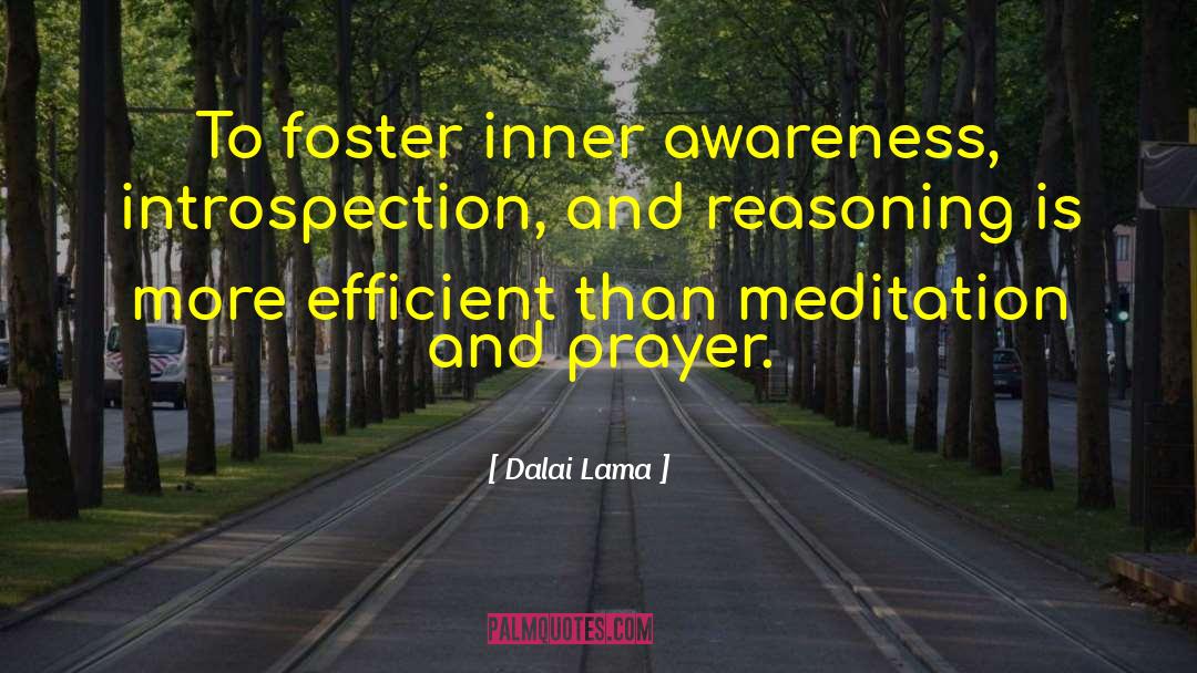 Inner Awareness quotes by Dalai Lama