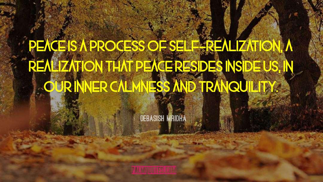 Inner Calmness quotes by Debasish Mridha