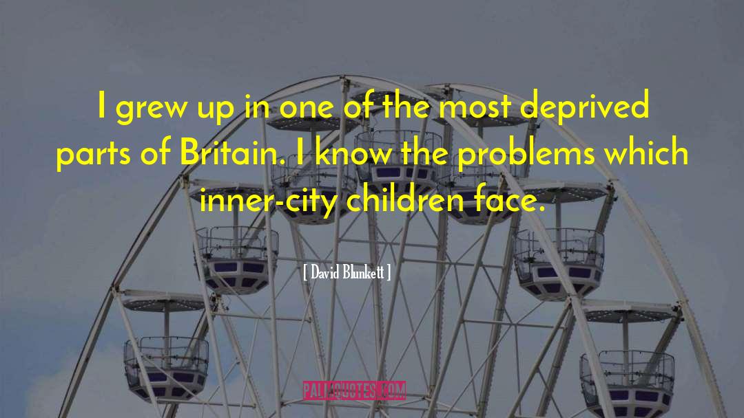 Inner City quotes by David Blunkett
