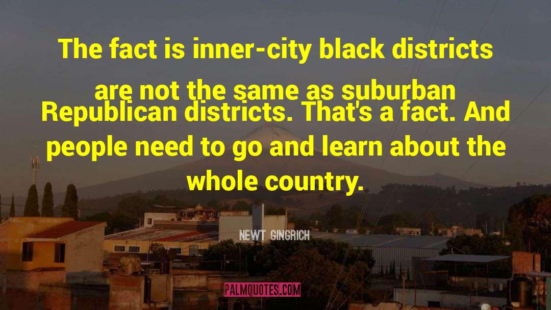 Inner City quotes by Newt Gingrich