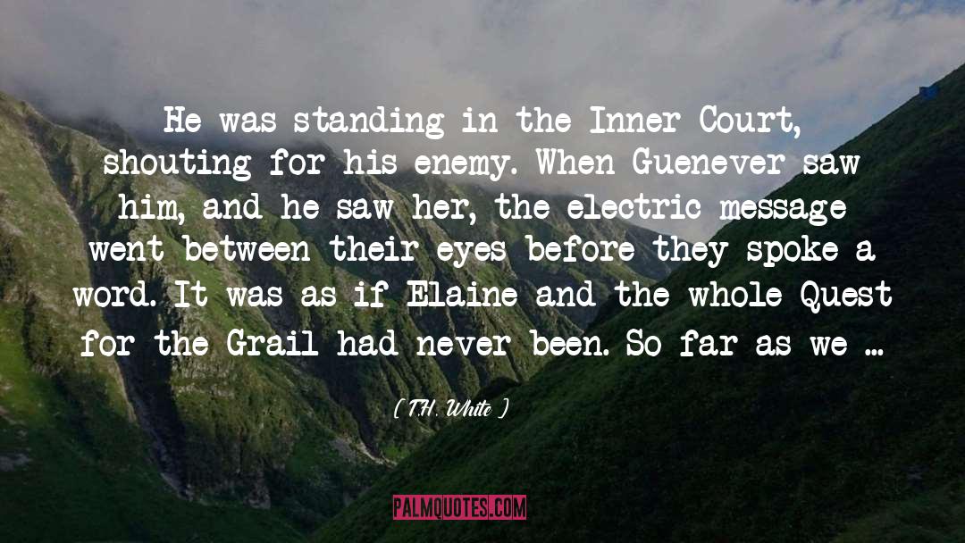 Inner Court quotes by T.H. White