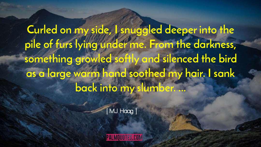 Inner Darkness quotes by M.J. Haag