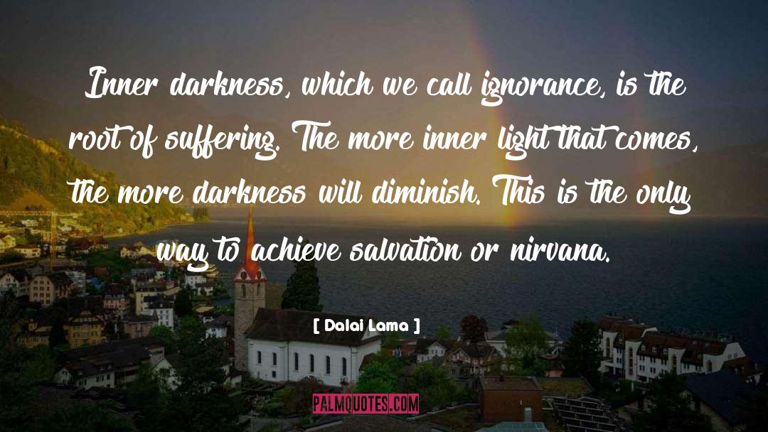 Inner Darkness quotes by Dalai Lama