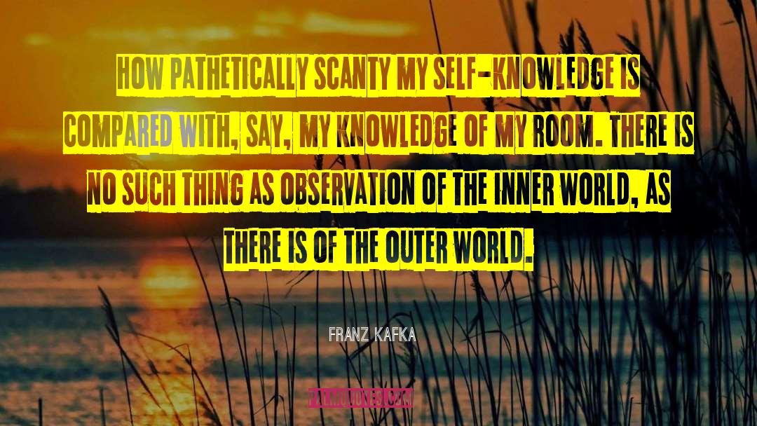 Inner Discovery quotes by Franz Kafka