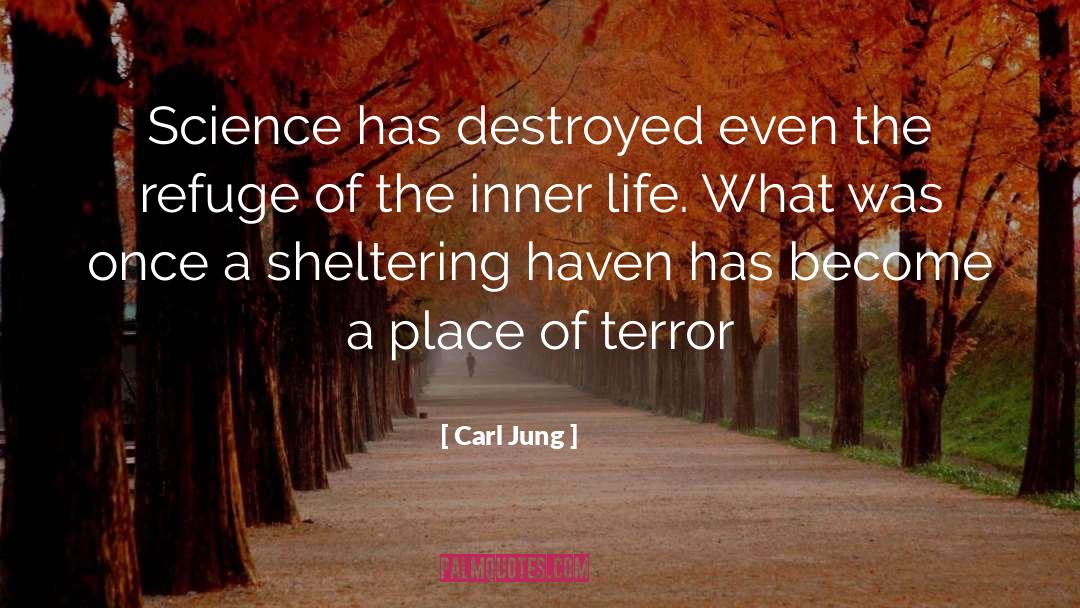 Inner Enrichment quotes by Carl Jung