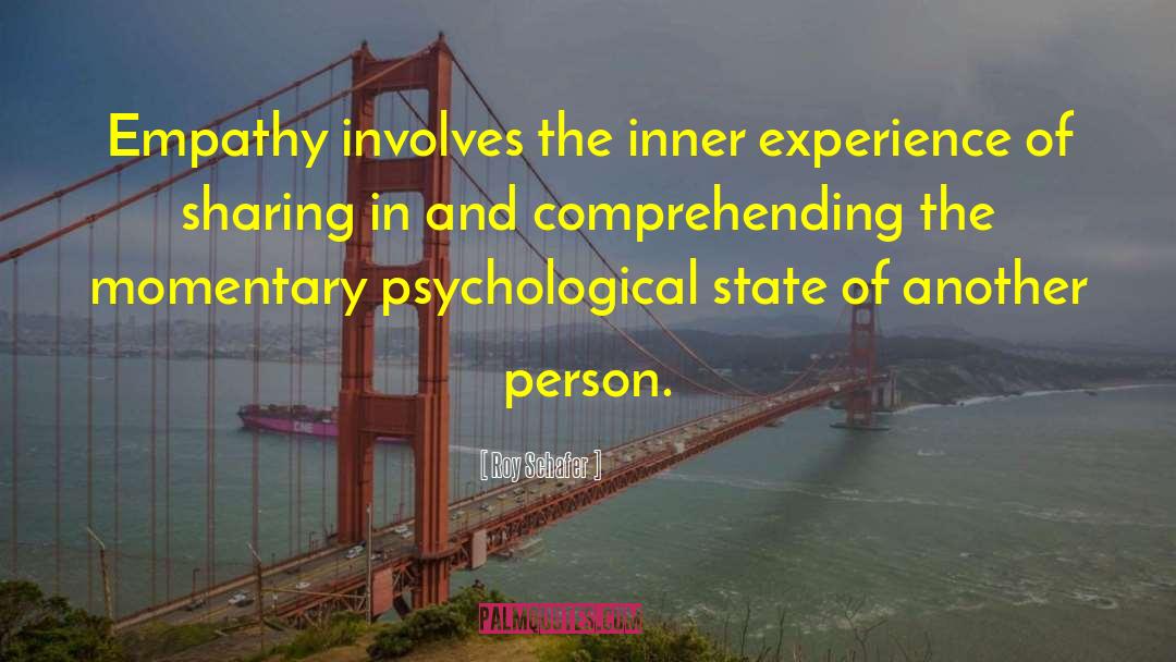 Inner Experience quotes by Roy Schafer