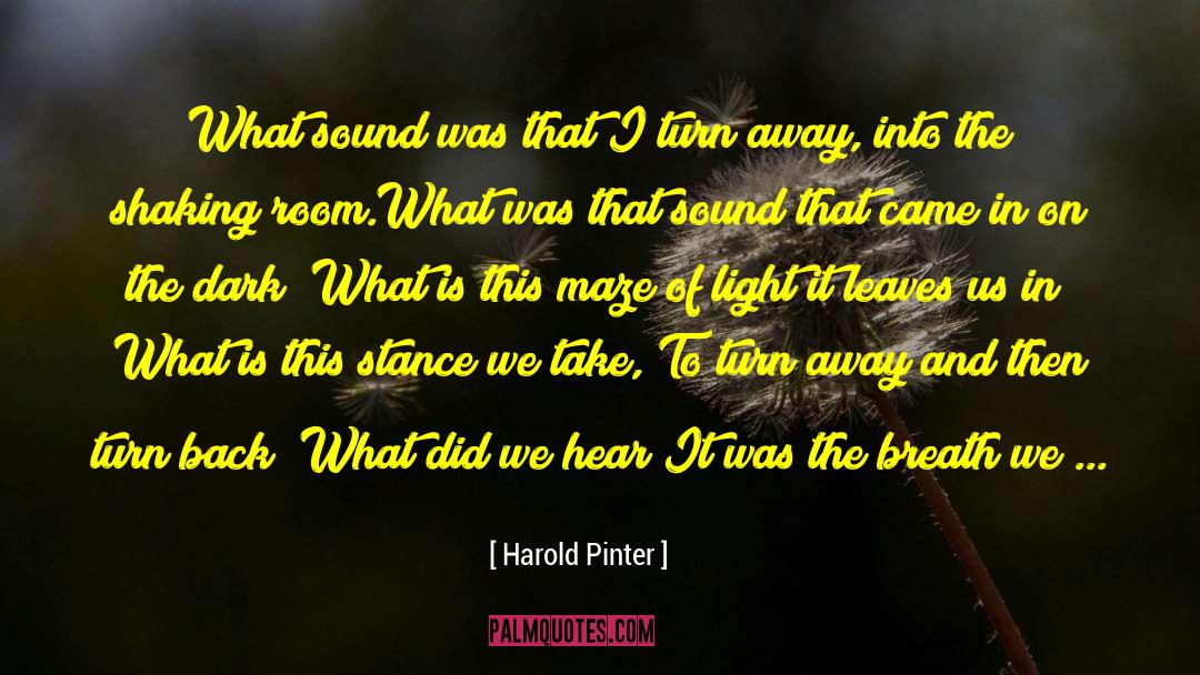 Inner Light And Sound quotes by Harold Pinter