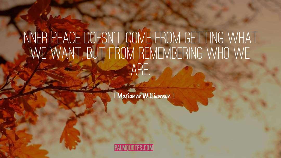 Inner Process quotes by Marianne Williamson