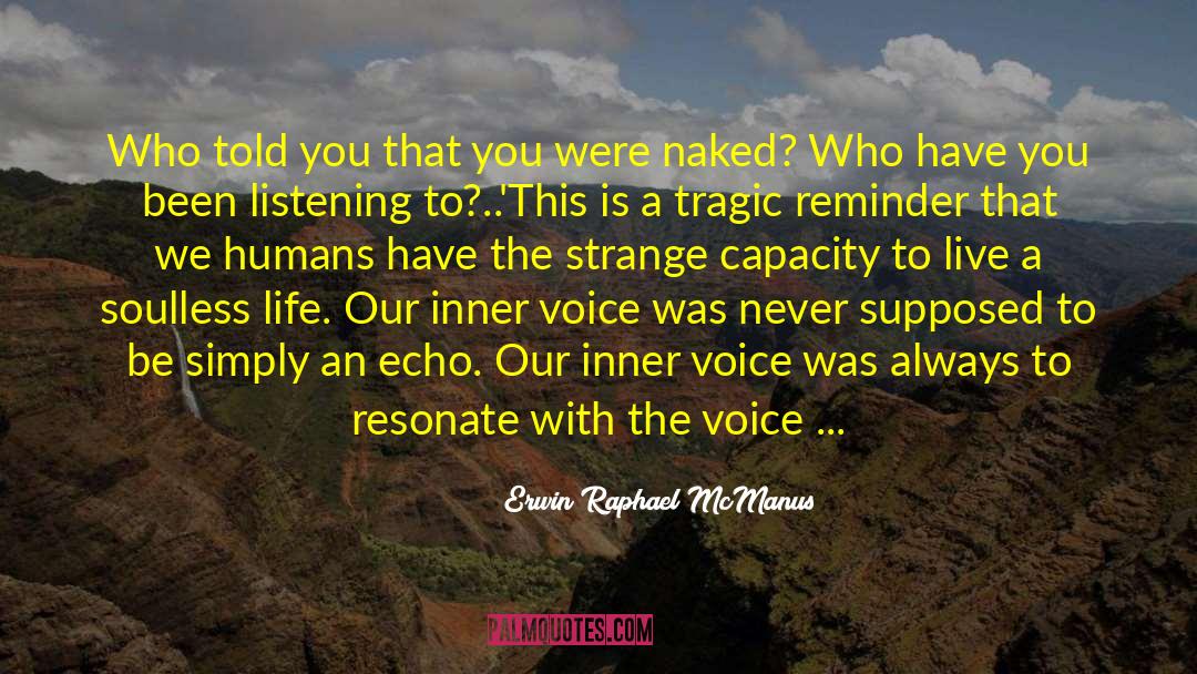 Inner Reflection quotes by Erwin Raphael McManus