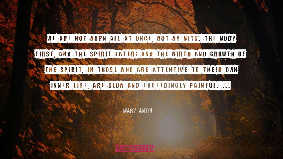 Inner Searching quotes by Mary Antin