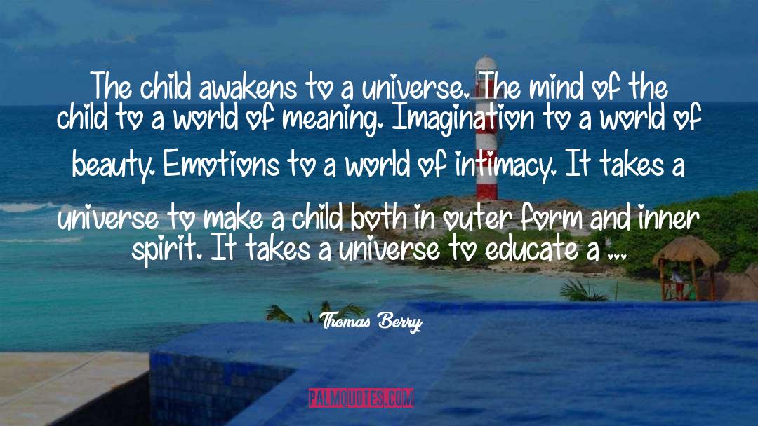 Inner Spirit quotes by Thomas Berry