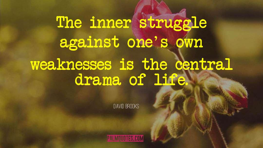 Inner Struggle quotes by David Brooks