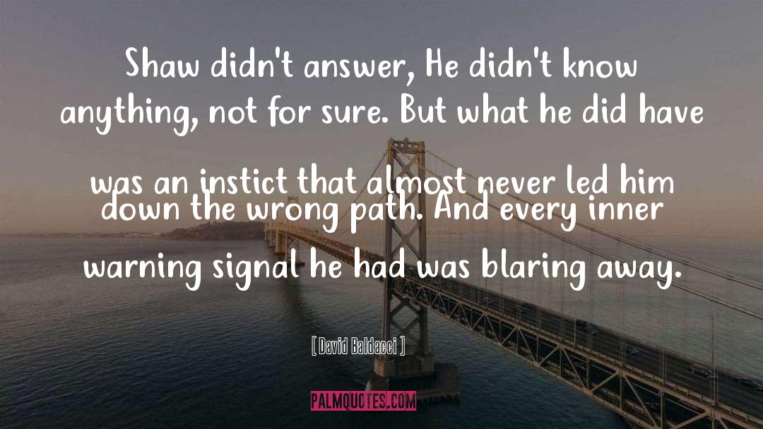 Inner Struggle quotes by David Baldacci