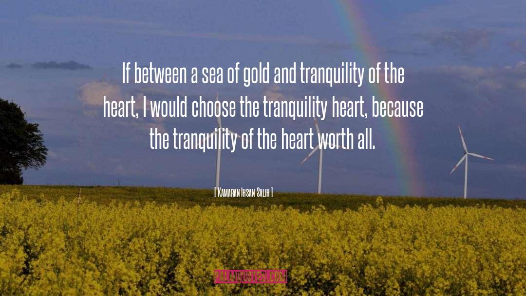 Inner Tranquility quotes by Kamaran Ihsan Salih
