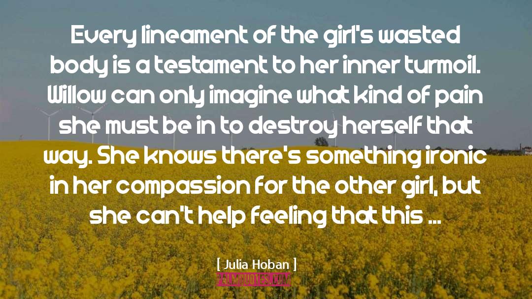 Inner Turmoil quotes by Julia Hoban