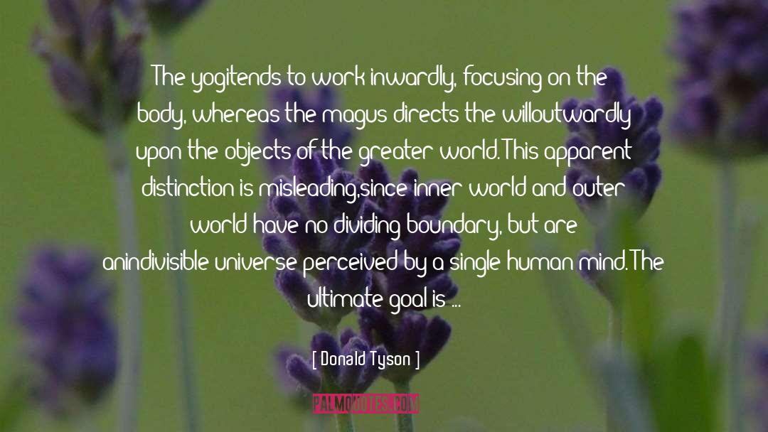 Inner World quotes by Donald Tyson