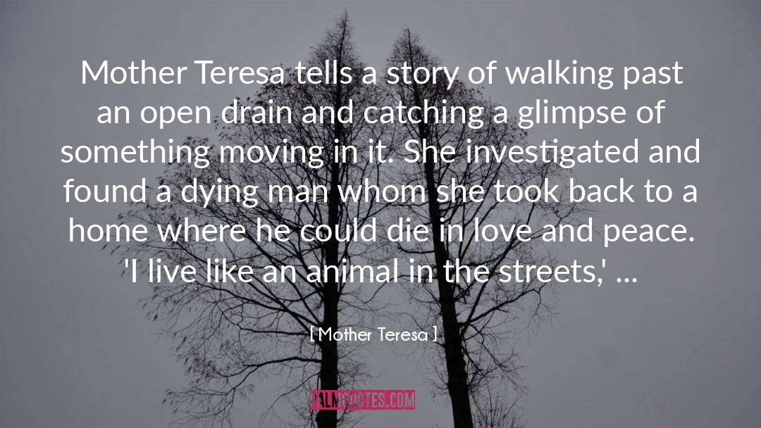 Innocent Animal quotes by Mother Teresa
