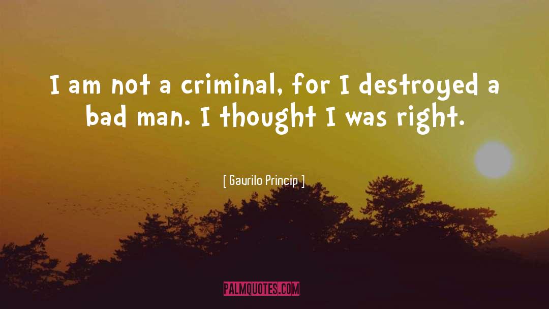 Innocent Man Destroyed quotes by Gavrilo Princip