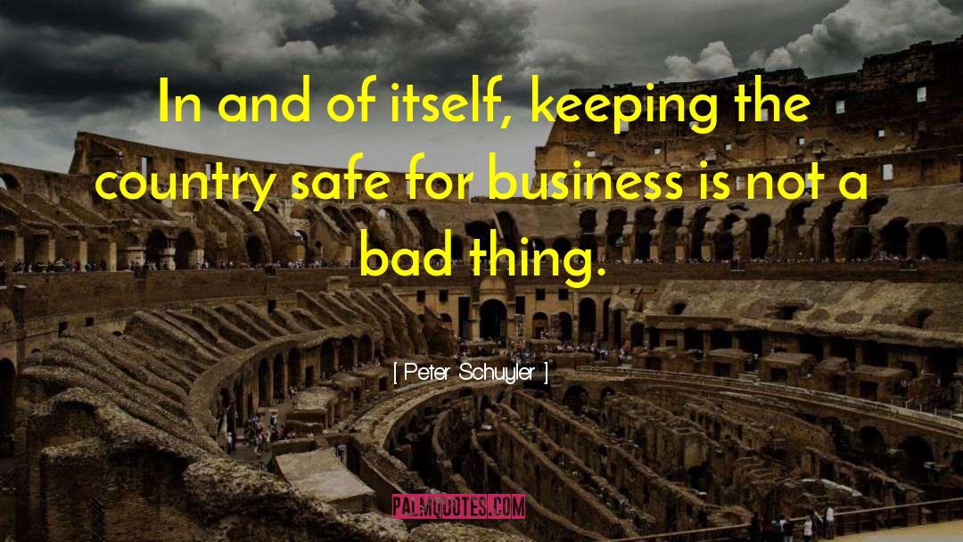 Innovation And Business quotes by Peter Schuyler