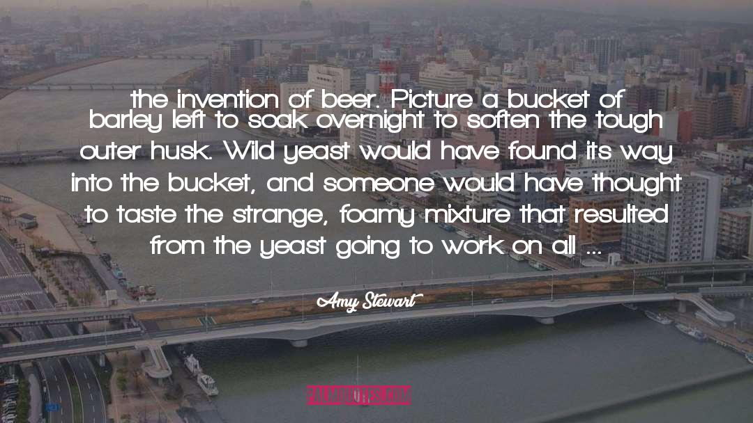 Innovation Invention quotes by Amy Stewart