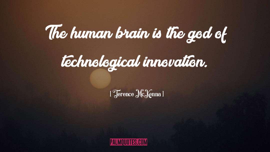 Innovation quotes by Terence McKenna