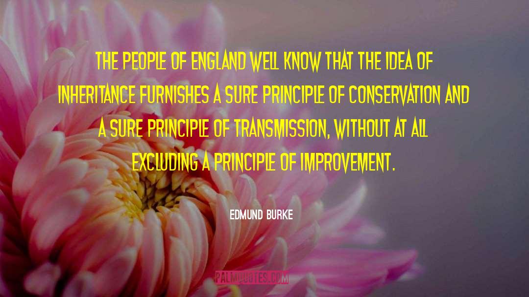 Innovative Ideas quotes by Edmund Burke