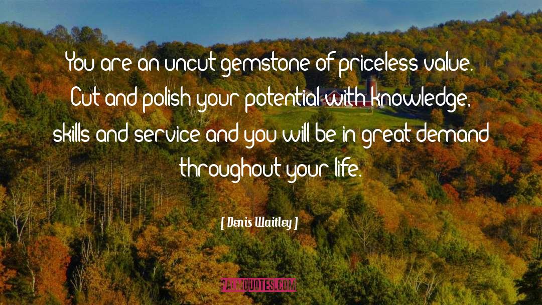 Innovative Service quotes by Denis Waitley