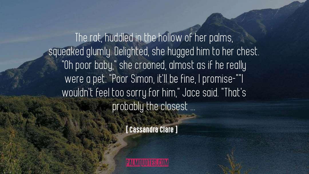 Innuendo quotes by Cassandra Clare