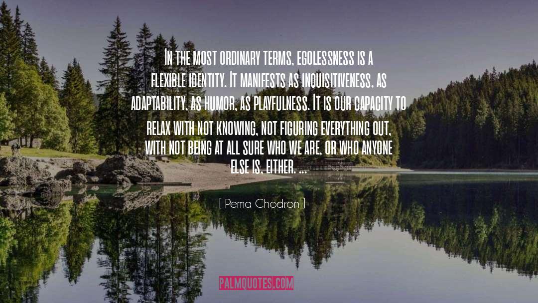 Inquisitiveness quotes by Pema Chodron
