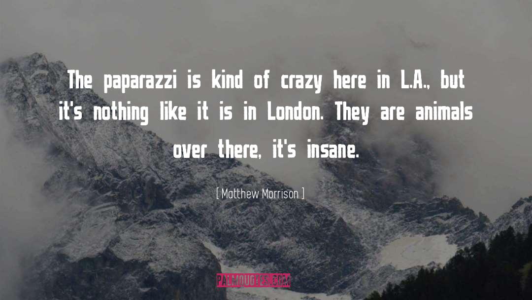 Insane In The Membrane quotes by Matthew Morrison