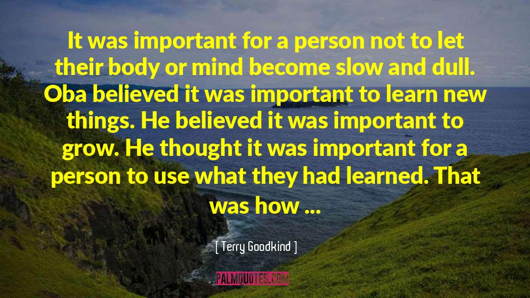 Insane Person quotes by Terry Goodkind