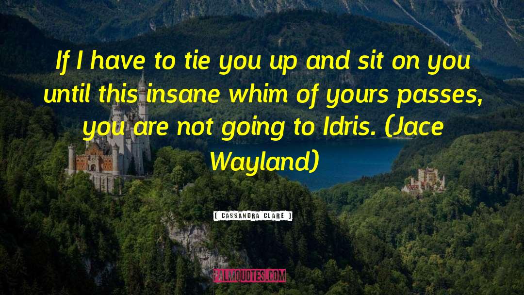 Insane Person quotes by Cassandra Clare