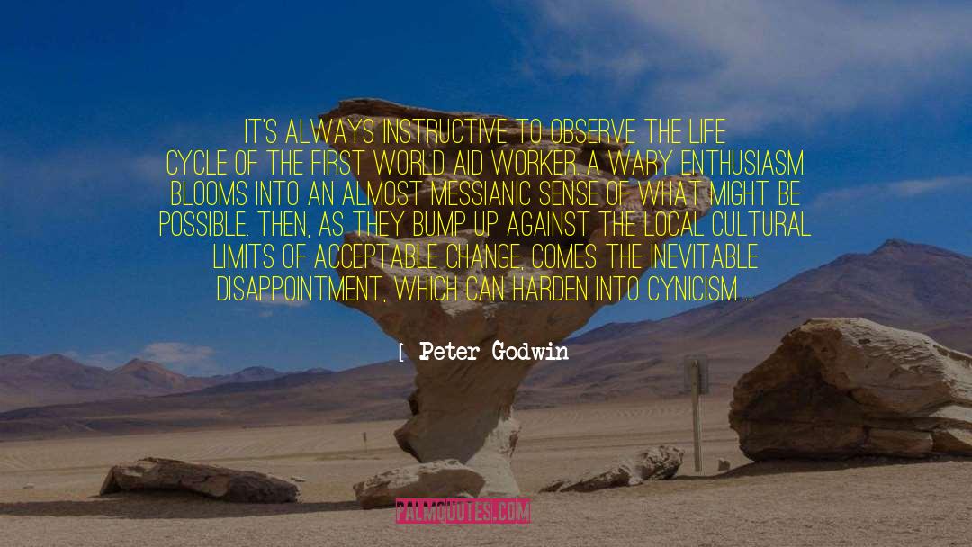 Insane World quotes by Peter Godwin