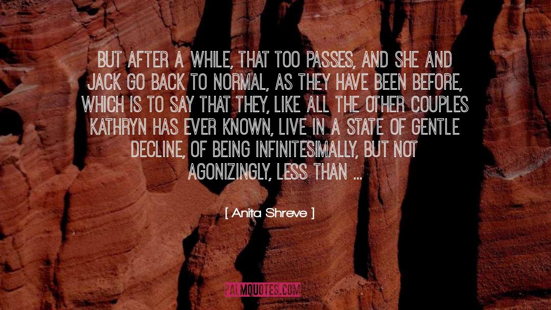 Insanity Is Normal quotes by Anita Shreve
