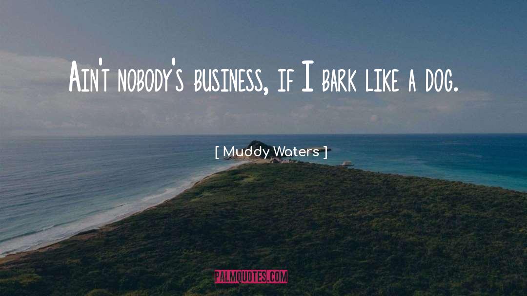 Insanity quotes by Muddy Waters