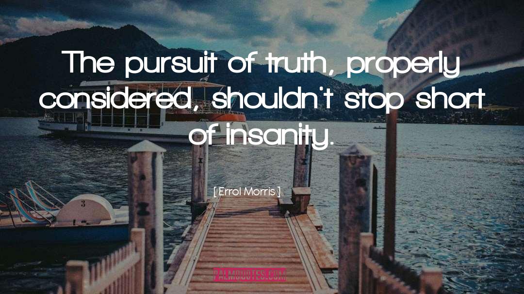 Insanity quotes by Errol Morris