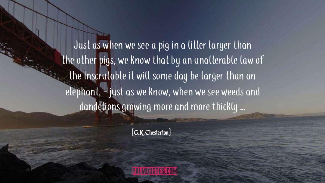 Inscrutable quotes by G.K. Chesterton