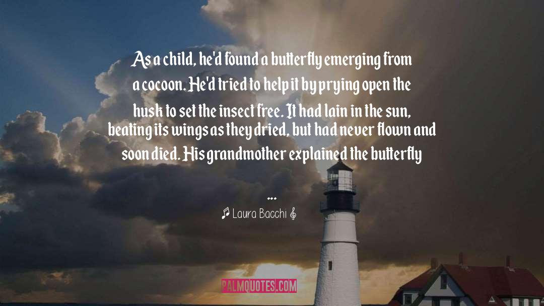 Insect Fly quotes by Laura Bacchi