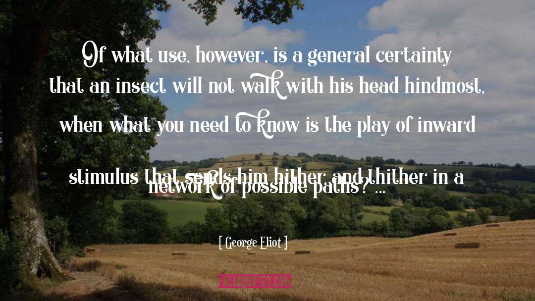 Insect quotes by George Eliot