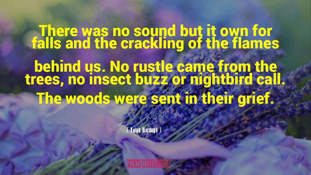 Insect quotes by Leigh Bardugo