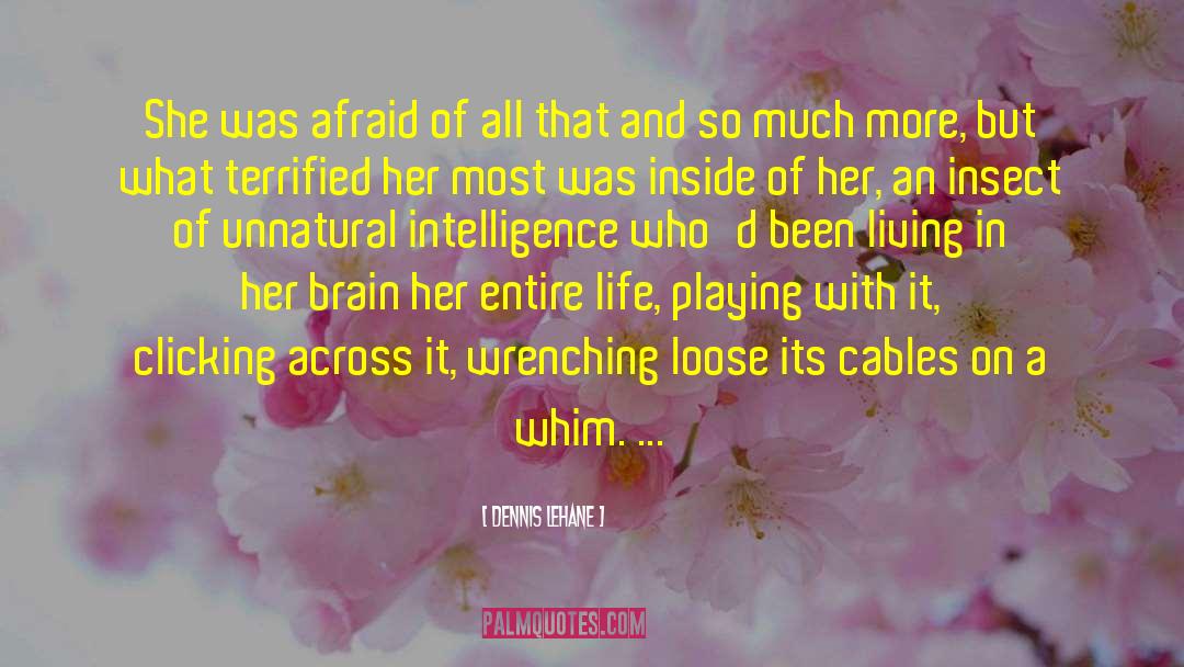 Insect quotes by Dennis Lehane